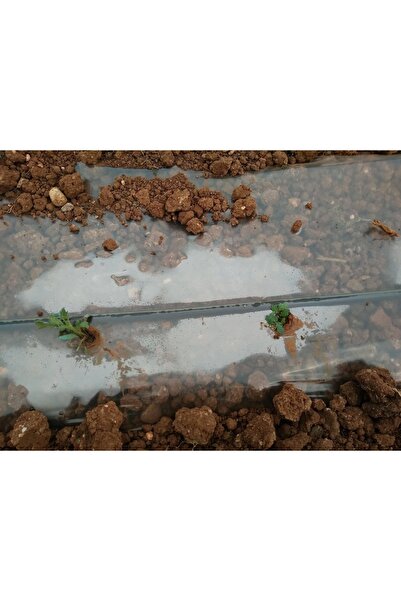 Procover Malç Naylonu Şeffaf 25 Metre , 120 Cm , Mini Tünel Sera ,don Kırağı Örtüsü