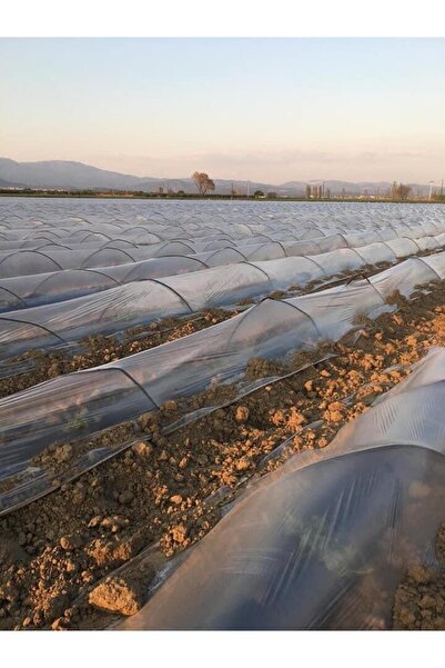 Procover Malç Naylonu Şeffaf 25 Metre , 120 Cm , Mini Tünel Sera ,don Kırağı Örtüsü