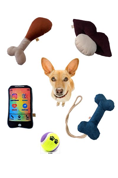 UTDpet 5-Piece Dog Toy Set (With Bone Toy)
