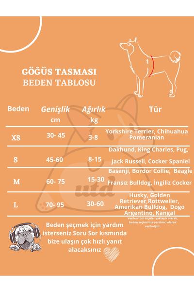 UTDpet Stylish Dog Chest Collar