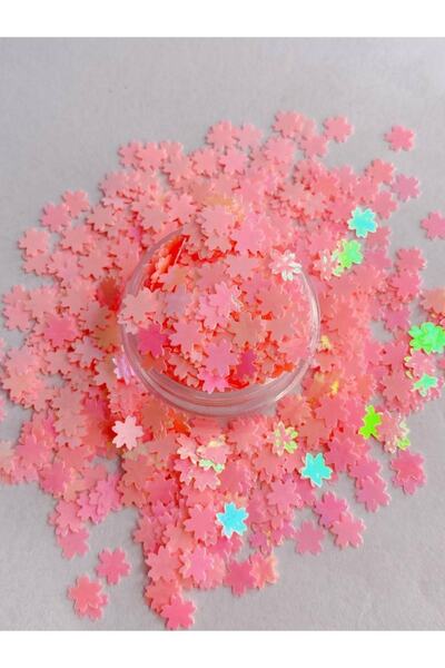 Sirius Hobi Epoksi Reçine Sakura Çiçeği Tırnak Makyaj Chunky Glitter 8 gr Hol...