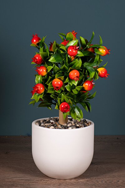 YAPAY ÇİÇEKÇİNİZ Τεχνητό δέντρο ρόδι σε γλάστρα από σκυρόδεμα