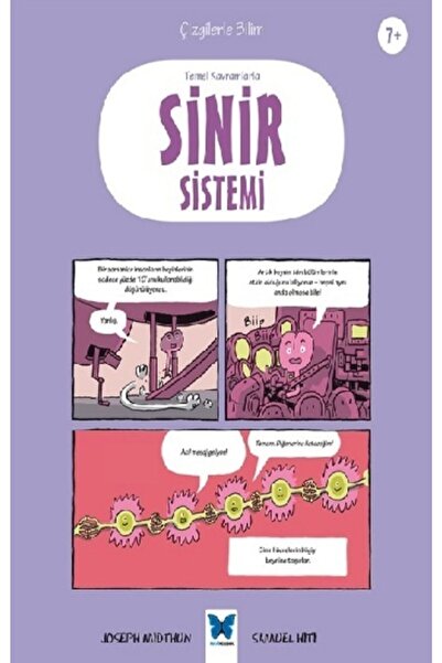 Mavi Kelebek Yayınları Atlasavm Temel Kavramlarla Sinir Sistemi