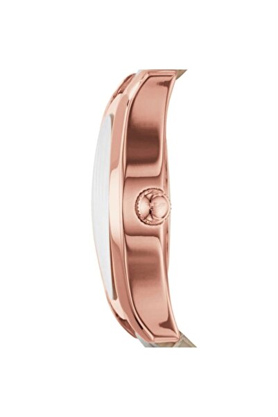 Emporio Armani Ar1670 Kadın Kol Saati