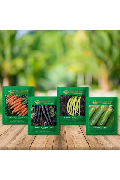 YALOVA TOHUMCULUK -4 Farklı Sebze Tohumu(hıyar,mor Havuç,çorbacı Tatlı Biber,...