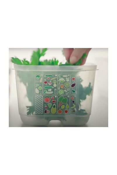 Tupperware Greenhouse 1.8 Lt