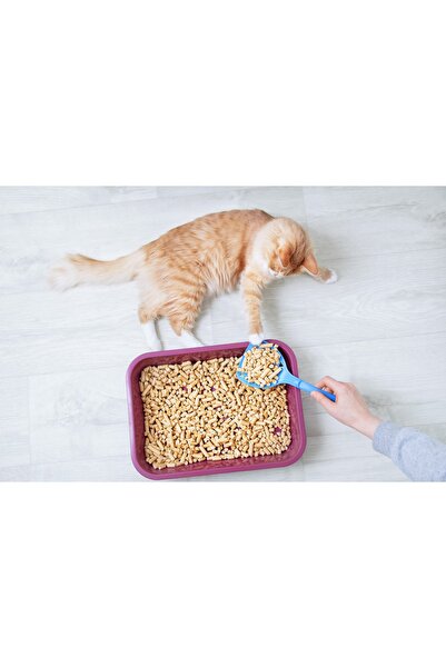 Genel Markalar Kedi Kumu %100 Organik Çam Peleti Net 10 Kg