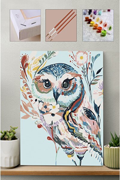 Carmen Sayılarla Boyama Seti - Baykuş