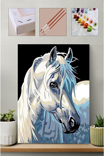 Carmen Sayılarla Boyama Seti - Beyaz At