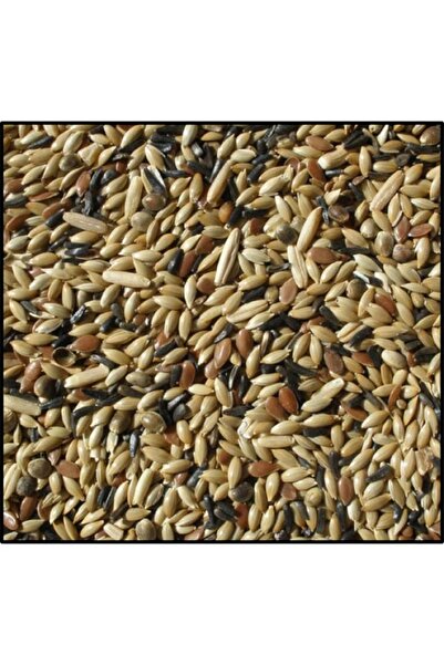 katzoo Kanarya Yemi Karışık (5kg Açık)