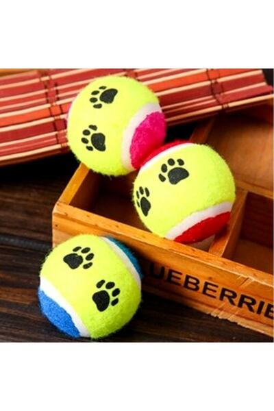 Neler Geldi Neler Pet Cat Dog Training Ball Set of 3 Cat Dog Play Ball Cat Toy Dog Toy
