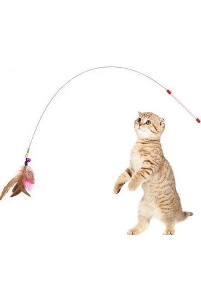 Neler Geldi Neler Colorful Feathered Cat Toy |   90 cm |   Steel Wire Game Feathers