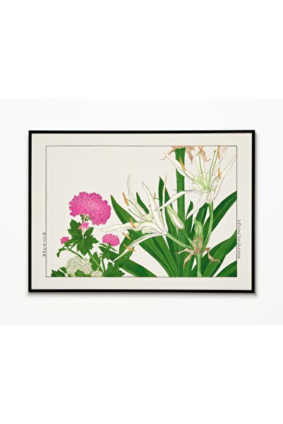 ARTHOUSECOLLECTIVE Botanički poster - Cvet Cambpetum Ghandiflorum - Cvetački ...