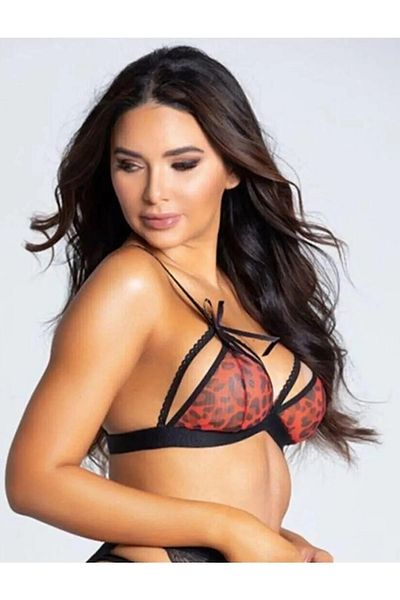 Qvien Secret Women's Red Leopard Pattern Fancy Bra Panty Set