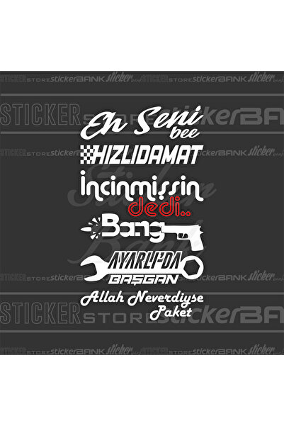 Sticker Bank مجموعة ملصقات السيارة - 10 قطع من ملصقات النوافذ الخلفية