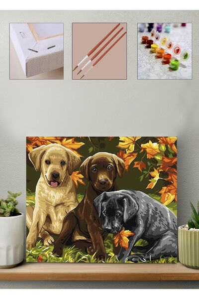 Carmen Sayılarla Boyama Seti - Yavru Köpekler