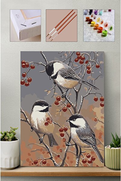 Carmen Sayılarla Boyama Seti - Gri Kuşlar