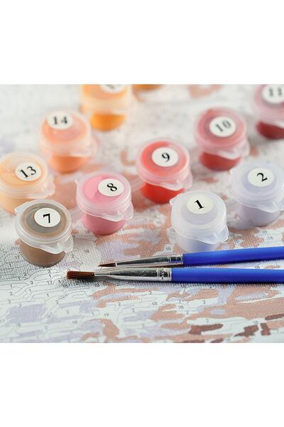 Carmen Sayılarla Boyama Seti Saklı Bahçe 35x50cm