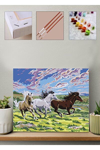 Carmen Sayılarla Boyama Seti - Atlar 40x50 cm