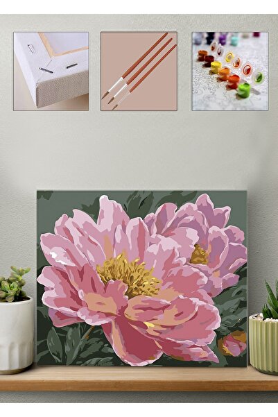 Carmen Sayılarla Boyama Seti - Şakayık Çiçeği