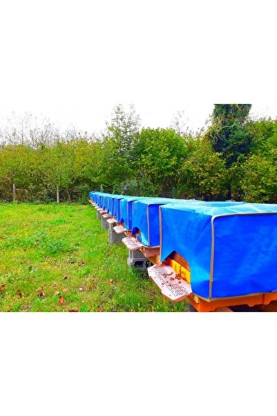 Genel Markalar Kovan Brandası 50li Paket