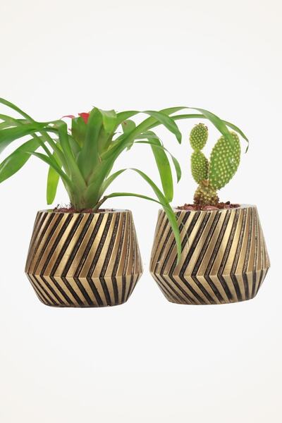 Viselia Saksı Seti Büyük El Yapımı Saksı Ev Saksısı Sukulent Saksısı Saksı De...