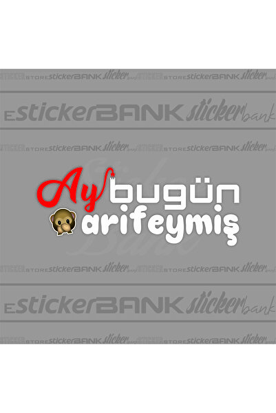 Sticker Bank ملصق سيارة - القمر اليوم