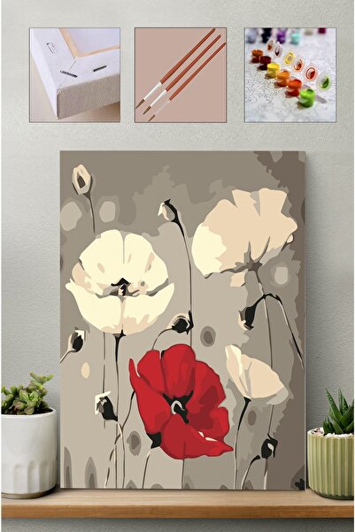 Carmen Sayılarla Boyama Seti - Gelincikler