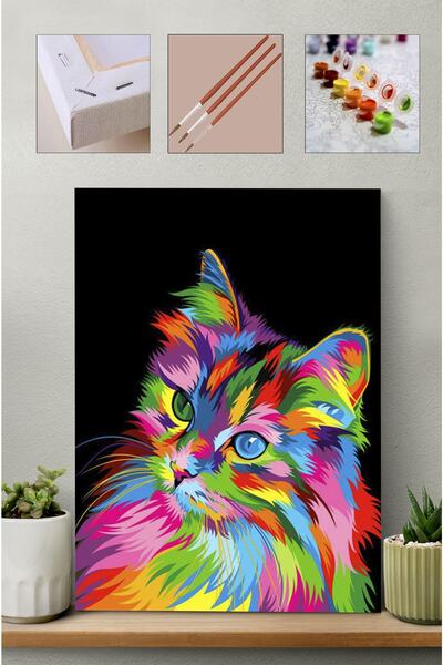 Carmen Sayılarla Boyama Seti Renkli Kedi 40x50cm