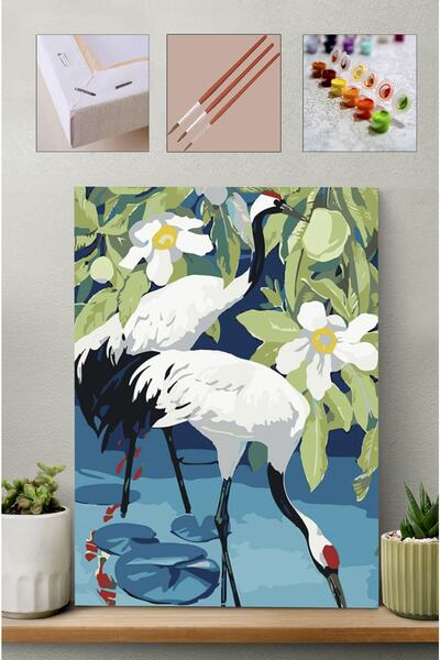 Carmen Sayılarla Boyama Seti  Turna