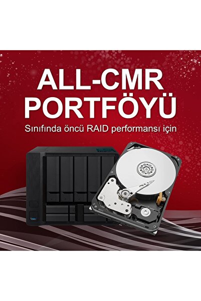 Gate Sea Ironwolf Pro, 12 Tb, Kurumsal Nas Dahili Sabit Disk Hdd – Cmr 3,5”, Sata 6 Gb/sn, 7200 Devir
