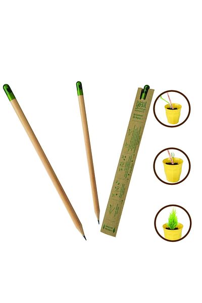 Libor Seeded Pencil 5 Pieces