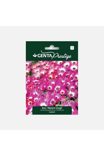 Genta Prestige Çiçek Tohumu Buz Mezem Çiçeği