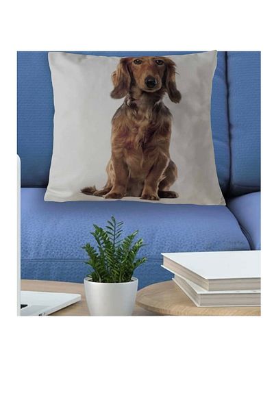 PETS & OTHERS Throw Pillow Pillow with Dog Figure 3D Digital Printed Inner Filling Zippered Washable Throw Pillow 35*35 Cm