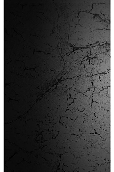 Buffalo Biker Buff Mask Neck Collar Outdoor Neck Collar Unisex Bandana Pack of 5