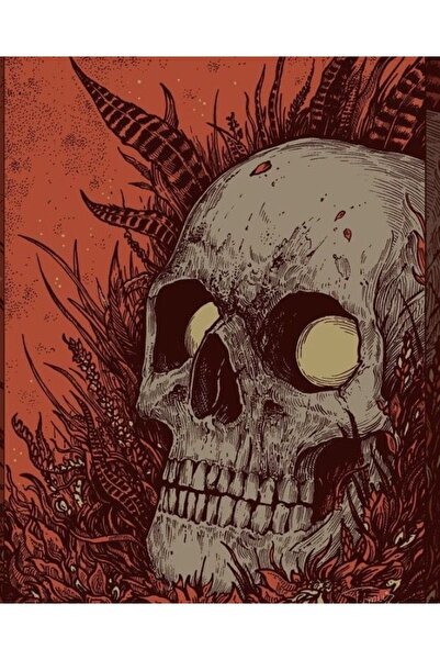 Buffalo Biker Buff Mask Neck Collar Outdoor Neck Collar Unisex Bandana Pack of 5