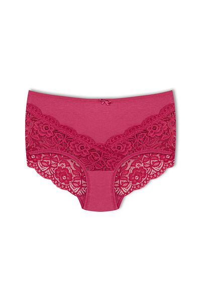 HNX Γυναικεία εσώρουχα Plum Lace Ψηλόμεση Plus Size