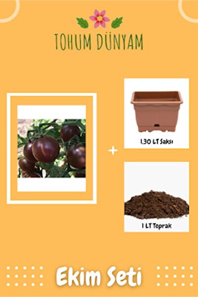 Tohum Dünyam Siyah Cherry (kiraz) Domates Tohumu Ekim Seti