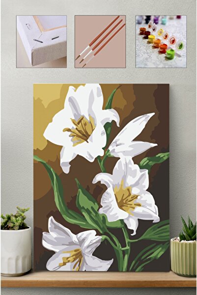 Carmen Sayılarla Boyama Seti - Zambak