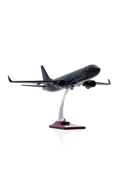 zekupp - Model Airplane - Boeing 737-800 1/100 - Black Patterned Special Design Model Airplane