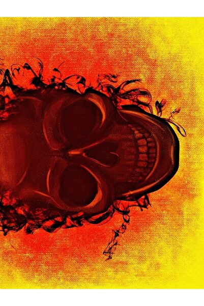 Buffalo Biker Buff Mask Neck Collar Outdoor Neck Collar Unisex Bandana Pack of 5