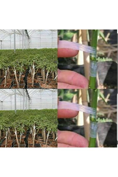Telvesse Bayram Aşı Bıçağı 22 Cm No 3 Aşı Macunu Aşı Bandı 3 Lü Aşılama Paketi