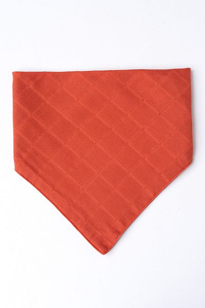 MyVera Double Layer Baby Drool and Scarf Set of 2 with Pacifier Strap and Muslin Fabric