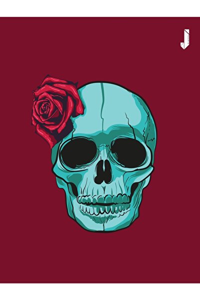 Buffalo Biker Buff Mask Neck Collar Outdoor Neck Collar Unisex Bandana Pack of 5