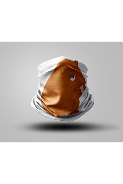 Buffalo Biker Buff Mask Neck Collar Outdoor Neck Collar Unisex Bandana Pack of 5