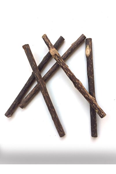 SENNEDİLERSEN Kedi Çiğneme Çubuğu Doğal Kedi Oyuncağı Matatabi 5'li Sticks