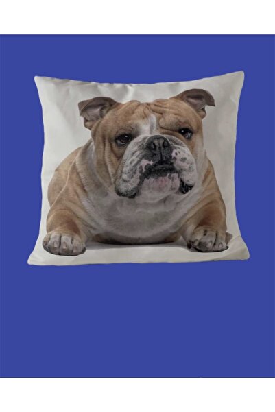 PETS & OTHERS Throw Pillow Pillow with Dog Figure 3D Digital Printed Inner Fi...