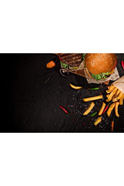HDART Hamburger Kanvas Tablo