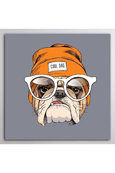 Buffalo Biker Buff Mask Neck Collar Outdoor Neck Collar Unisex Bandana Pack of 5