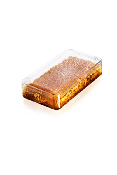 ecenplast Plastik 1000 Cc Glory Dikdörtgen Kapaklı Kutu (10 Adet)